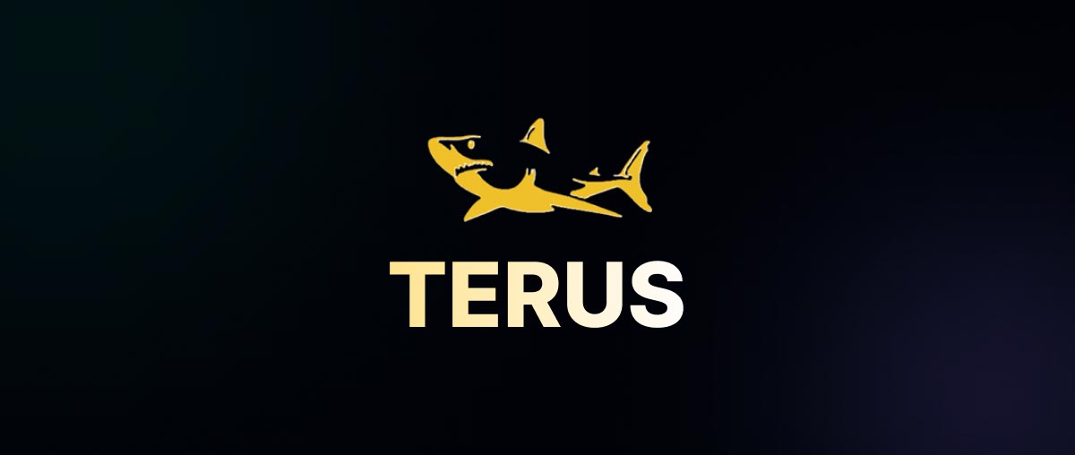 Terus SEO Agency