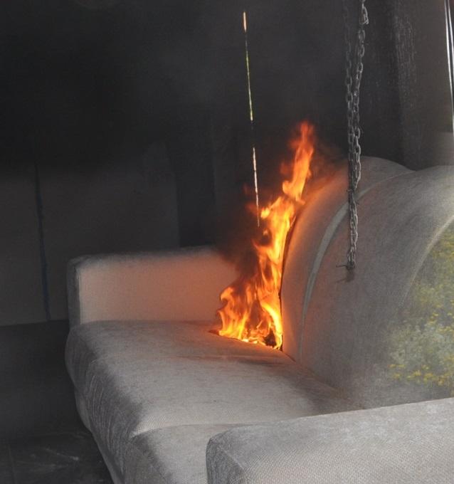 Established Burning FD203 Enclosure Fires on Guides