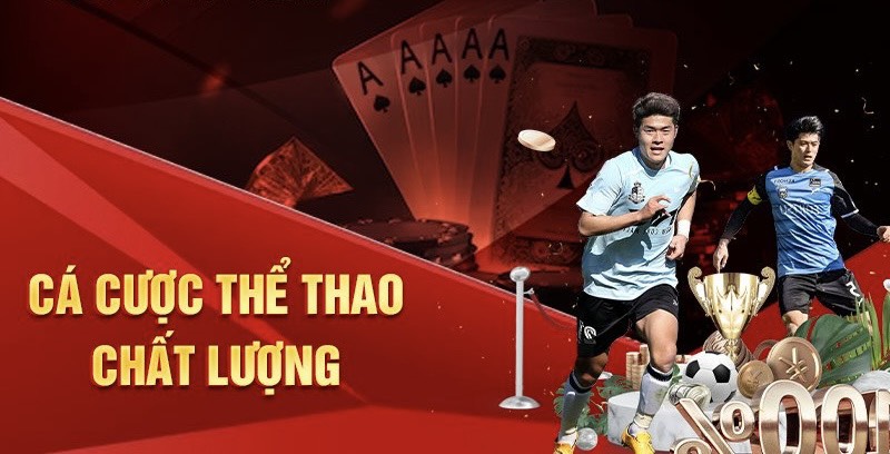 The thao 33win 2024 | The thao 33win 2024 | Guides