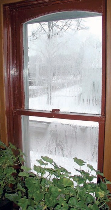 Photograph 2: Window Dehumidifier