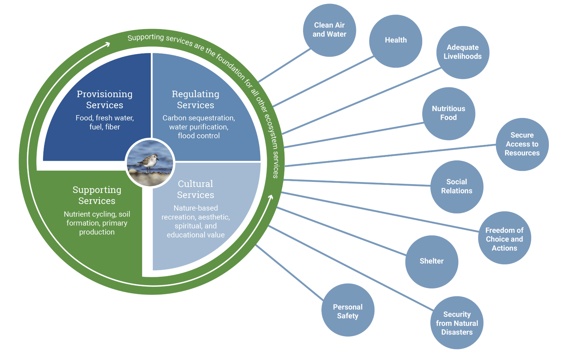Ecosystem Services Green Infrastructure on Guides