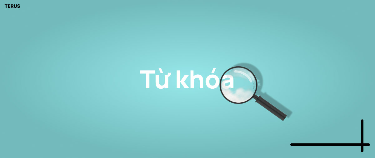 SEO càng nhiều từ khóa càng tốt