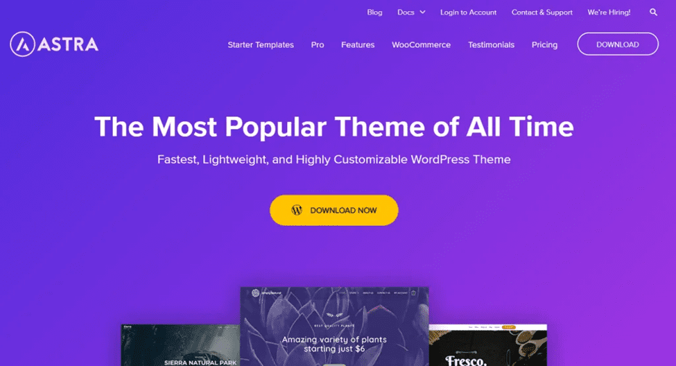 Astra theme wordpress