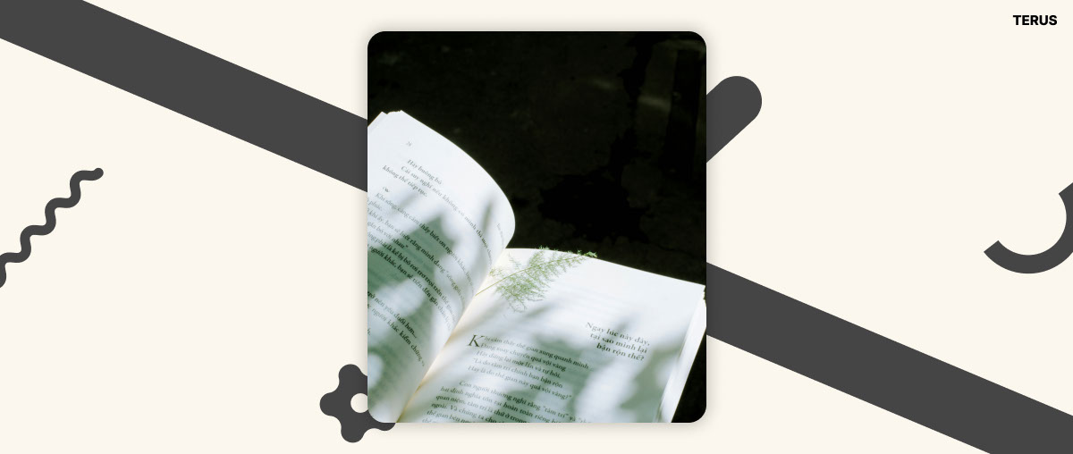 Sức mạnh của câu chuyện
