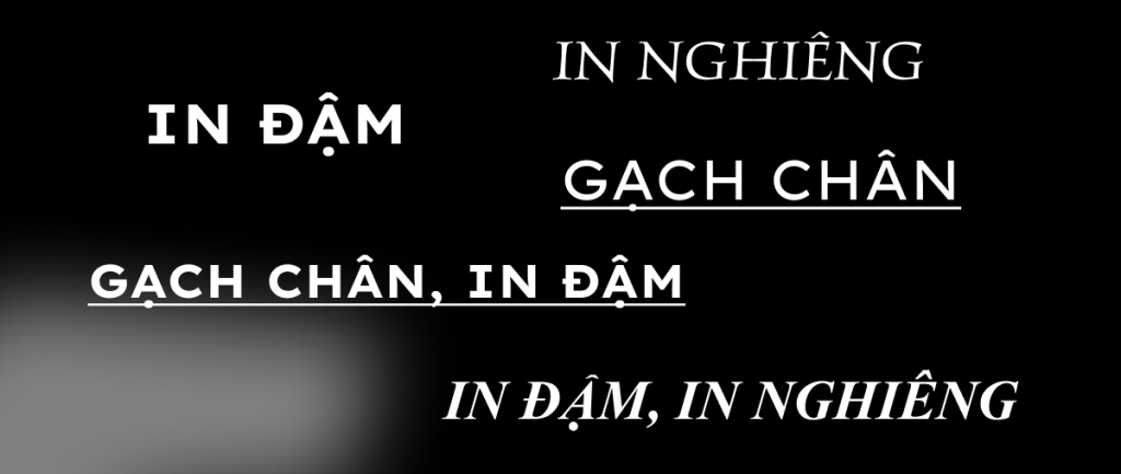 In đậm, In nghiêng và gạch dưới các từ khóa mục tiêu