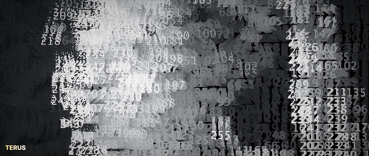 Source Code Là Gì? Các Thông Tin Cần Biết Về Source Code