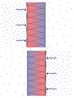 Schematic vertical cross-section