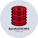 bacarasiteinfo 온라인 카지노 바카라