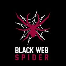 Black Web Spider Web Design Agency
