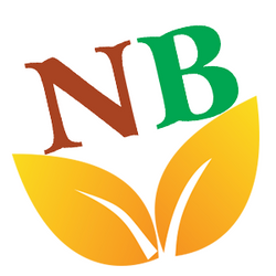 Nubest Vietnam