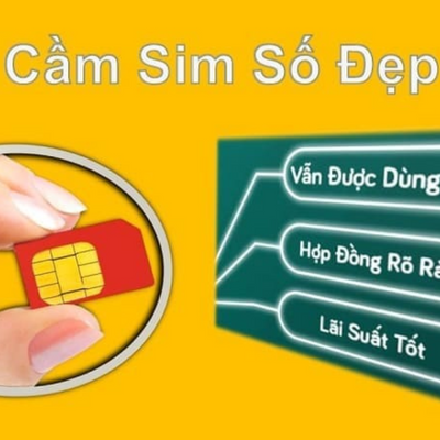 Cầm Sim