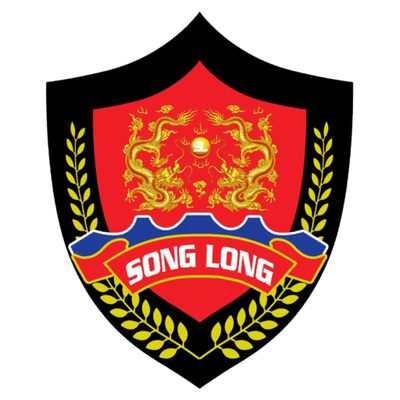 congtybaovesonglong songlong